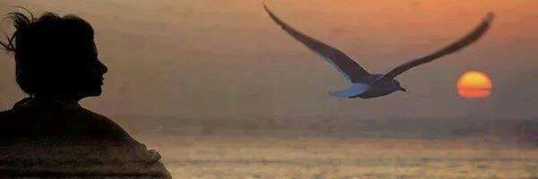 HiscockLynette Profile Banner