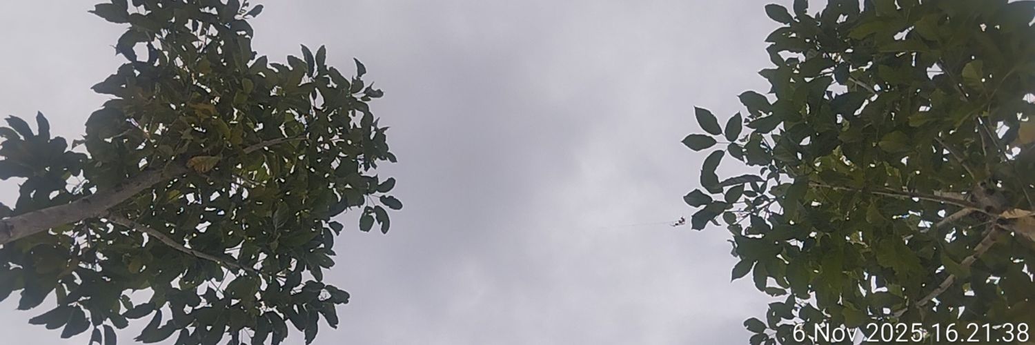 seuseuh bengeut banner