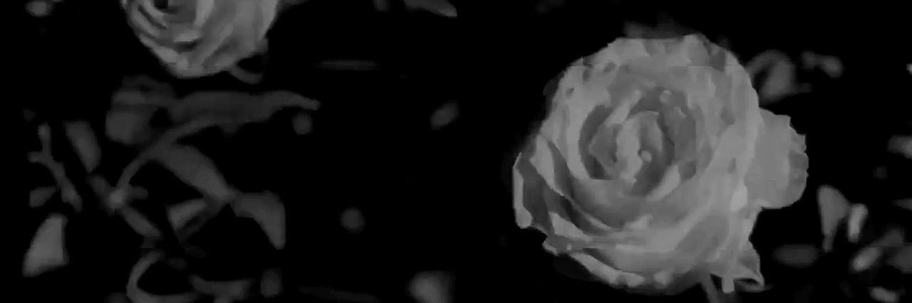 camilasgems's profile banner image