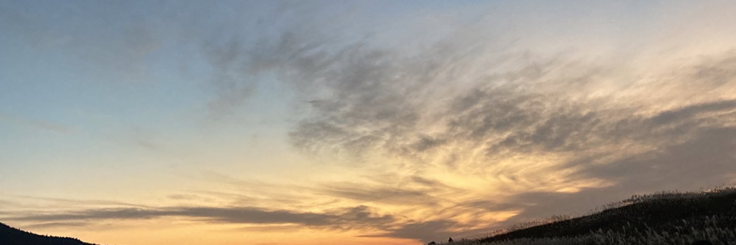 monologformig's profile banner image