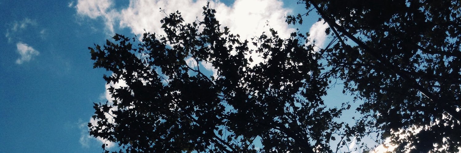 candagostino's profile banner image