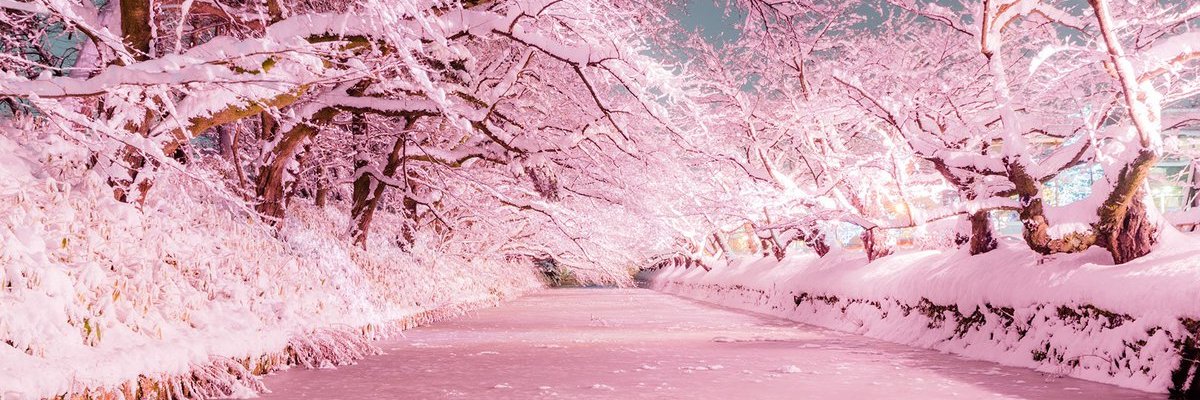 torin_acc's profile banner image