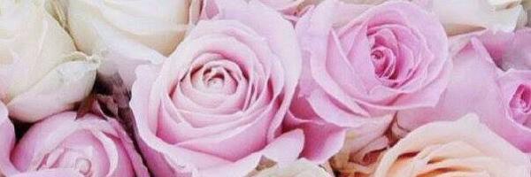 PoonamSharmaRN Profile Banner