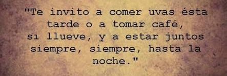 pepequotesmx's profile banner image