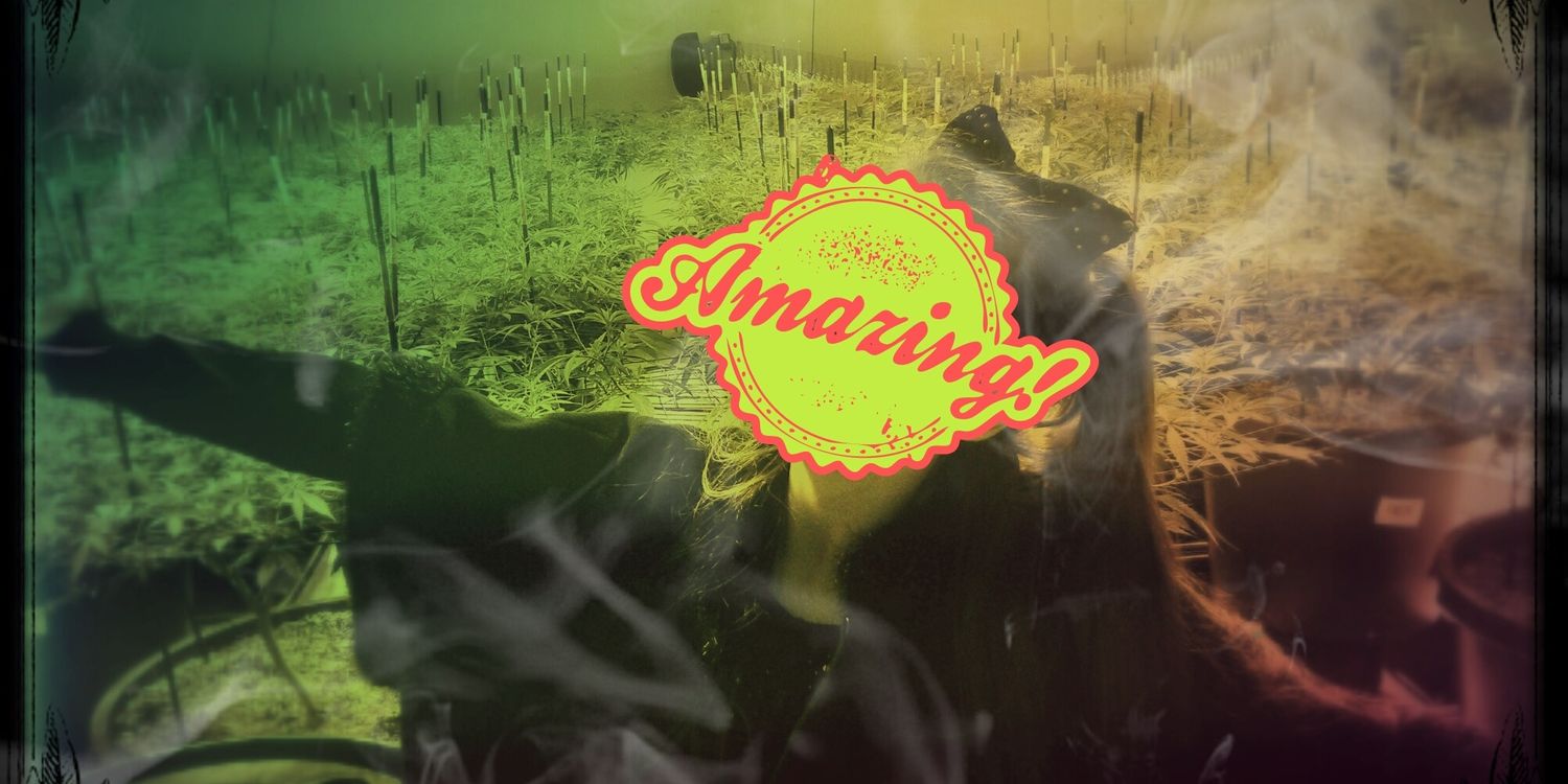 PrincessPotFarm's profile banner image