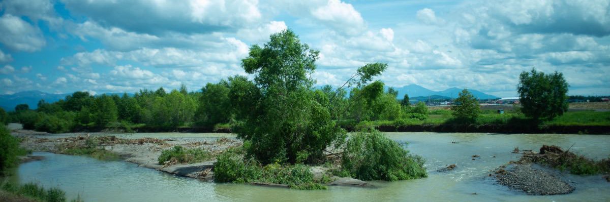 GristPhoto's profile banner image