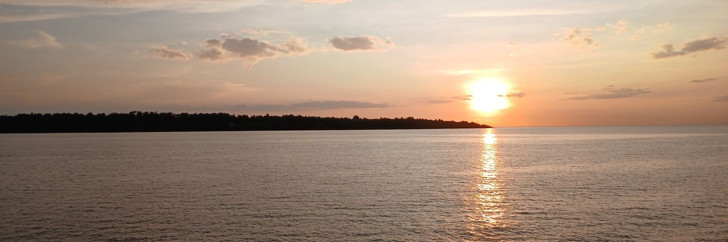 Swanggi1's profile banner image