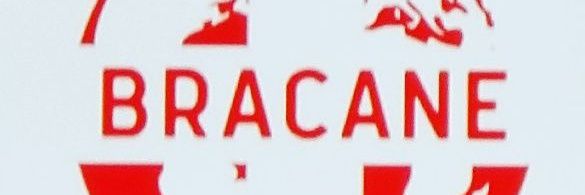 pnelson_bracane's profile banner image