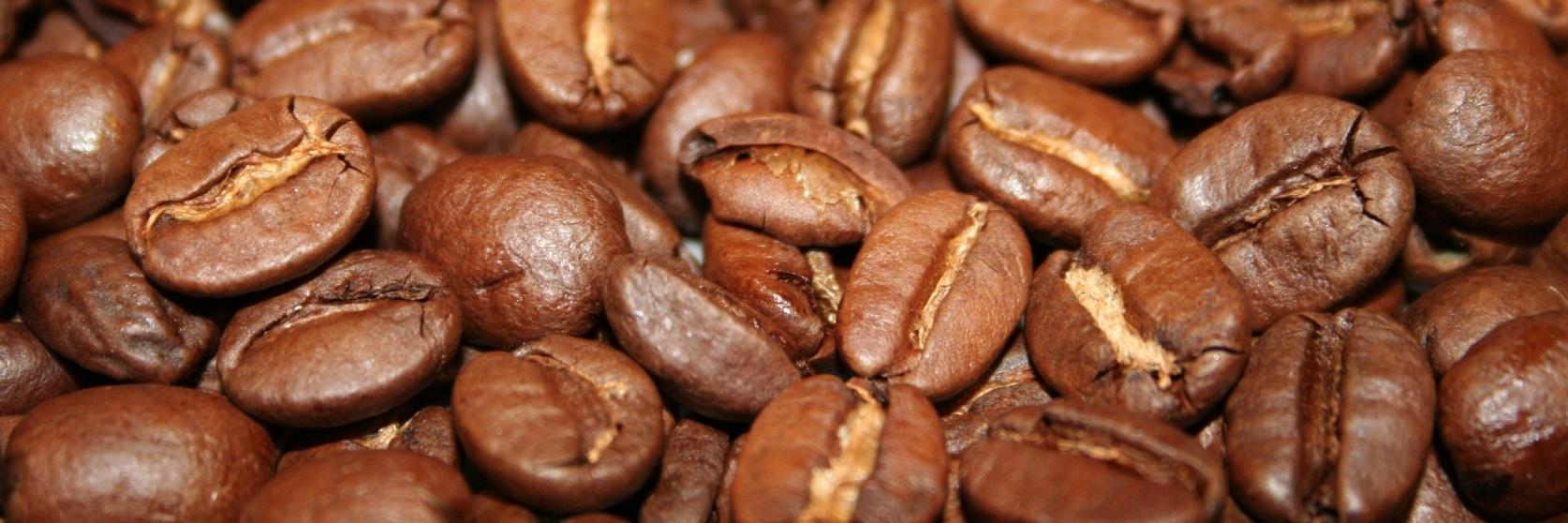paracoffee's profile banner image