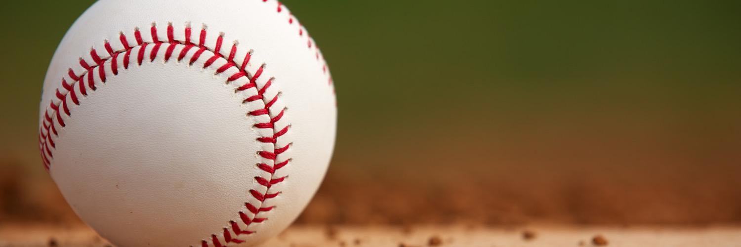 Premier Baseball NY banner