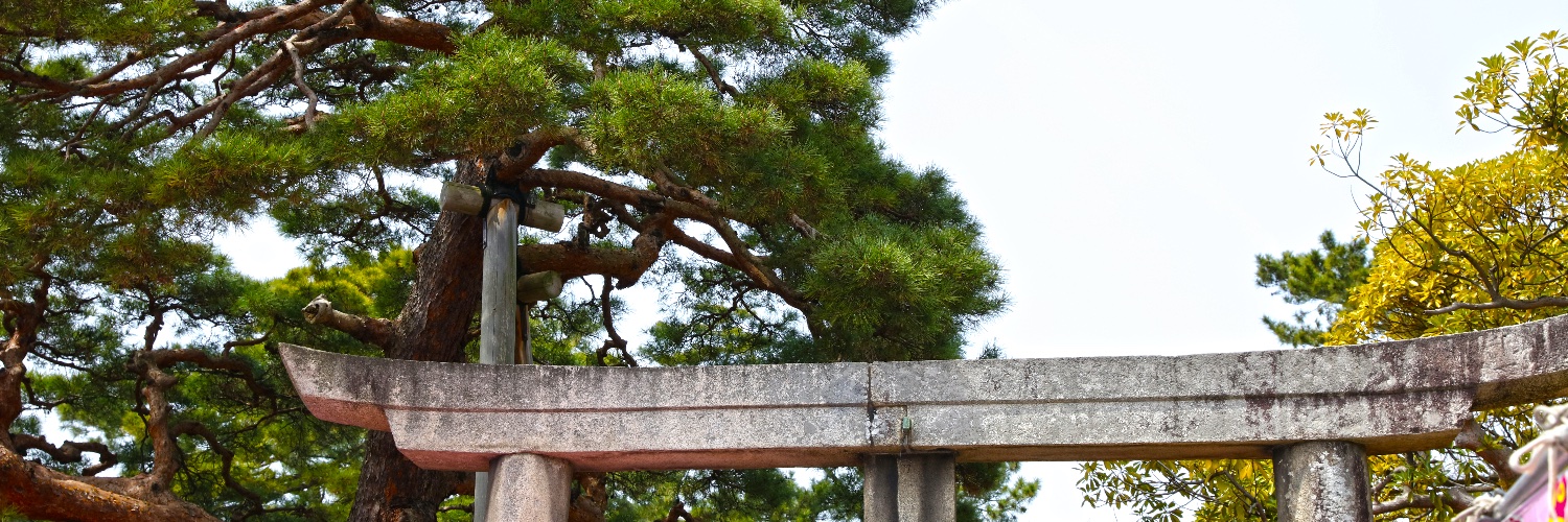 Queni_Koi's profile banner image