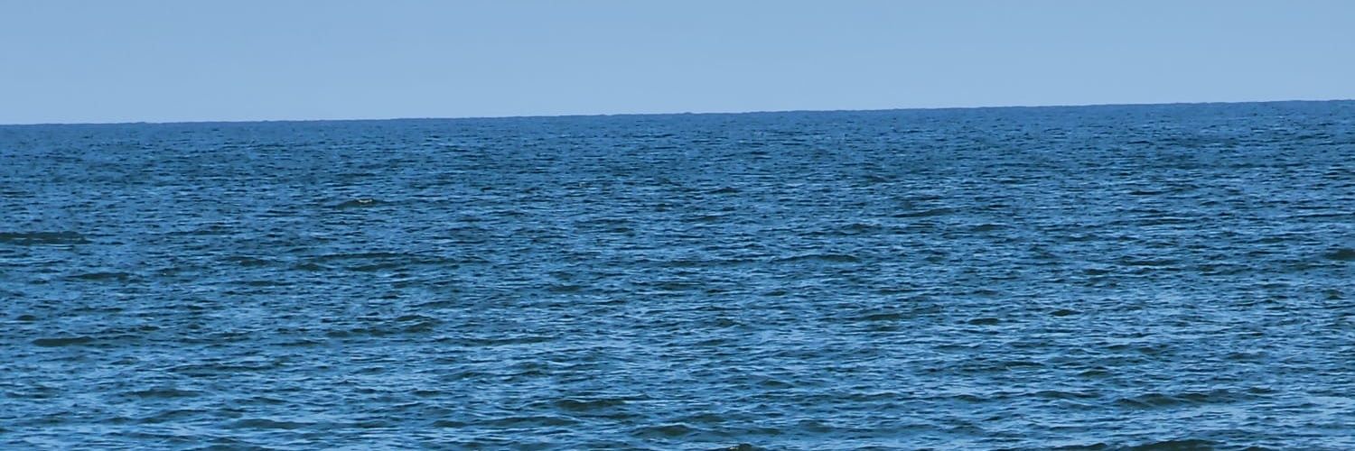 Marco Antonio Cerdio Roussell banner