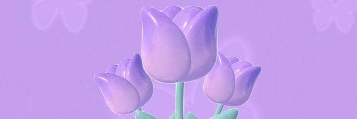 💜이카EEQA💜 banner