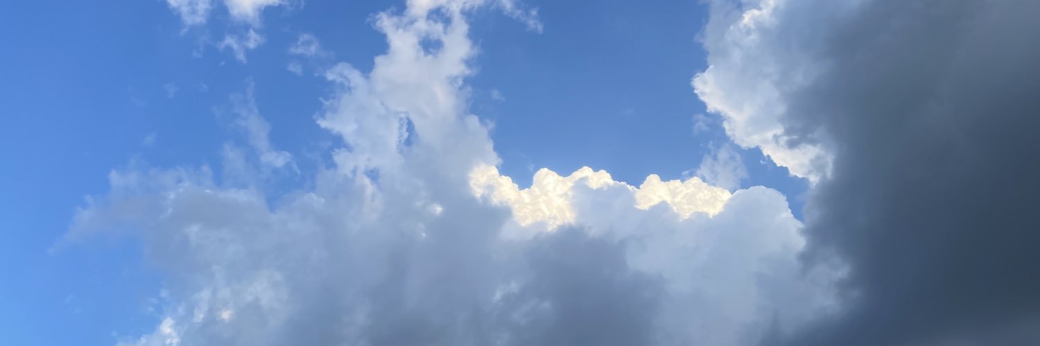 Jibypearl's profile banner image