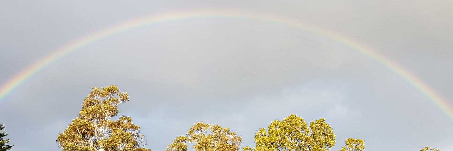 sineadronan's profile banner image