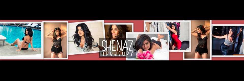 Shenaz Treasury banner