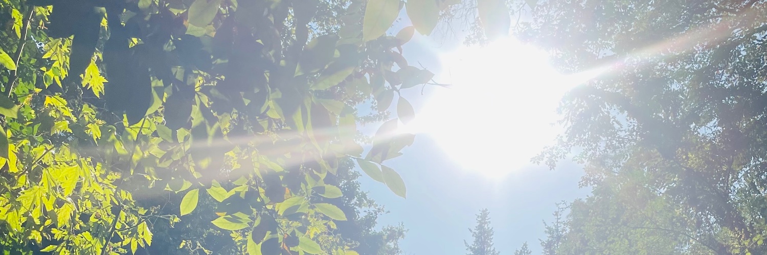 1mlkzdmr's profile banner image
