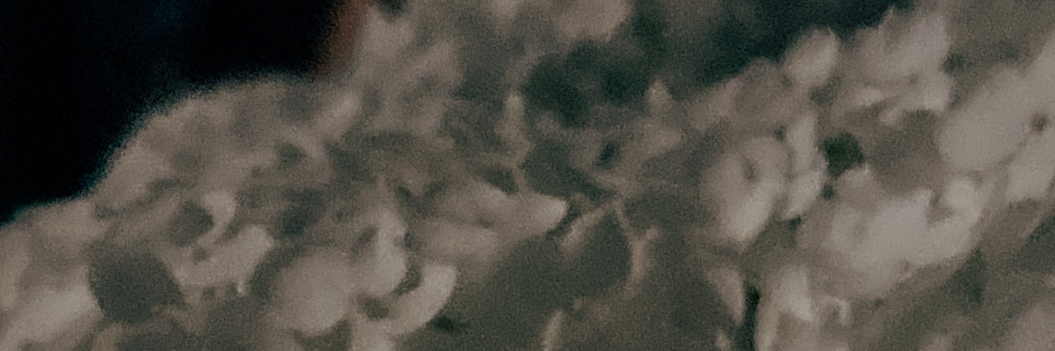 kuni_smallin's profile banner image