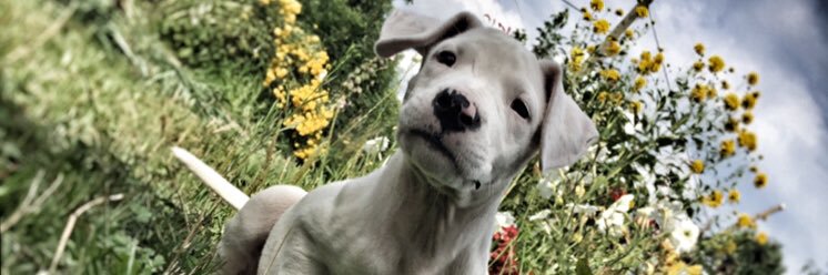 Atasvnn55's profile banner image