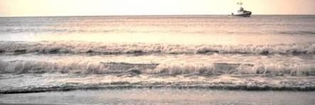 CJiwyam's profile banner image
