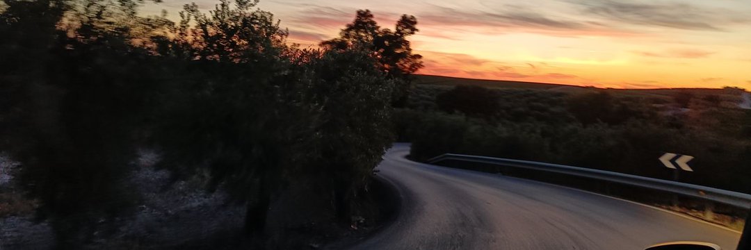 Sevenchard's profile banner image