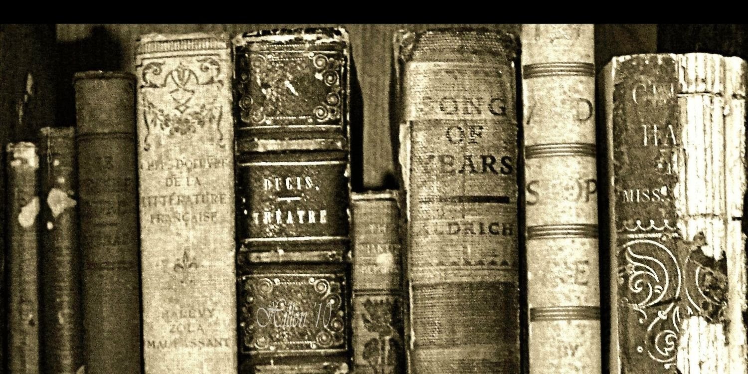 backinthestacks's profile banner image