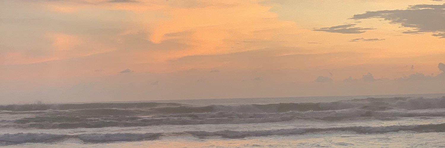 DenRoses17's profile banner image