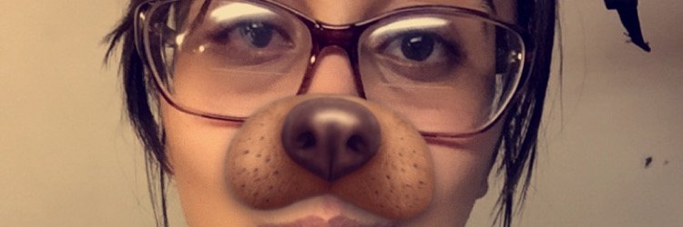 SplPrinceLlama's profile banner image
