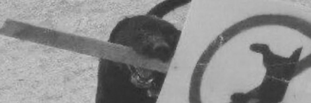 geonobili's profile banner image