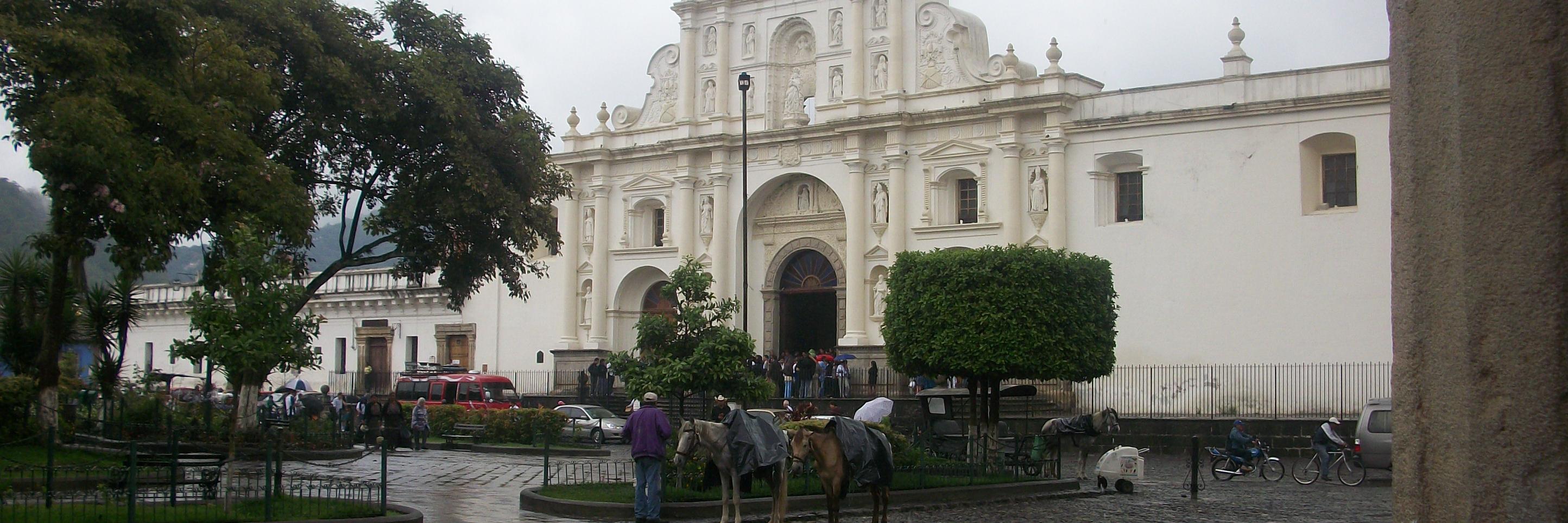EIU Foreign Language banner