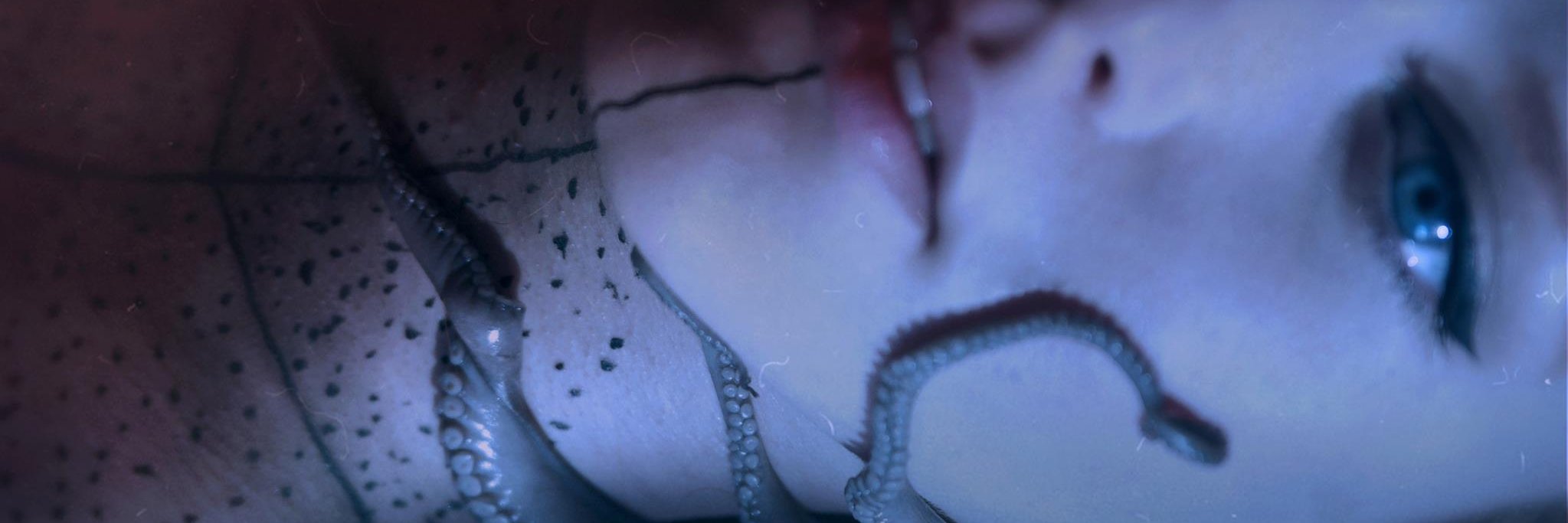 Ölü Ruhlar Ormanı banner