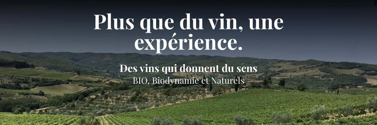 onsoccupeduvin's profile banner image