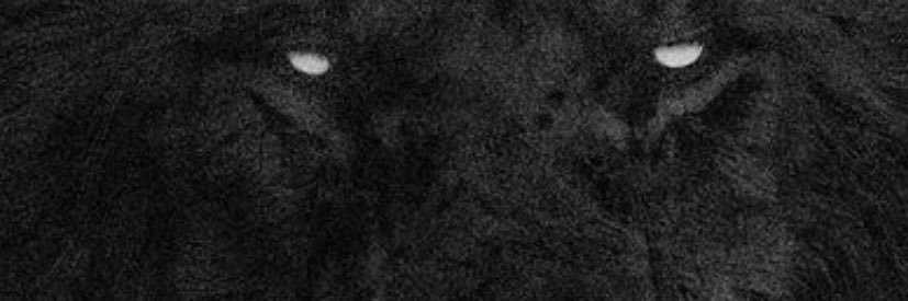 Didier0720's profile banner image
