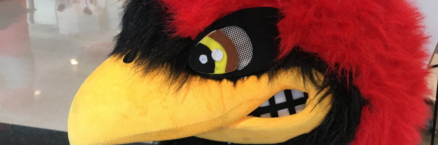 Redbird_Nest's profile banner image