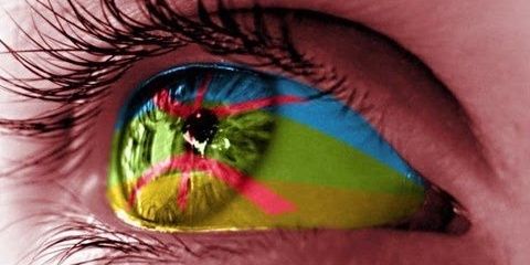 81Rwida's profile banner image