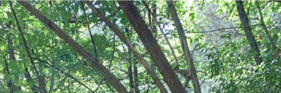 mino_2021's profile banner image