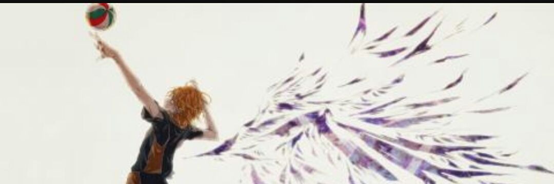 setyyawann's profile banner image