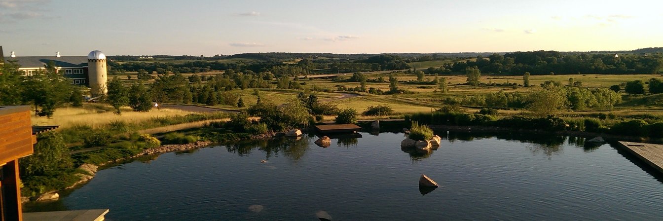 Sarah Stevens, PhD banner