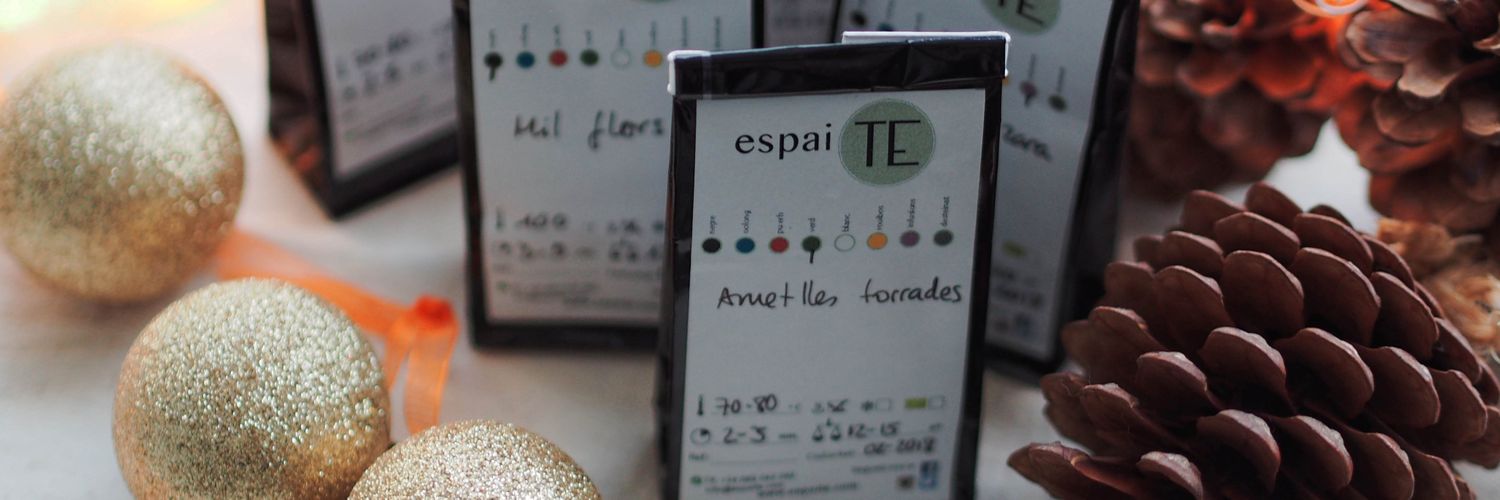 Espai TE banner