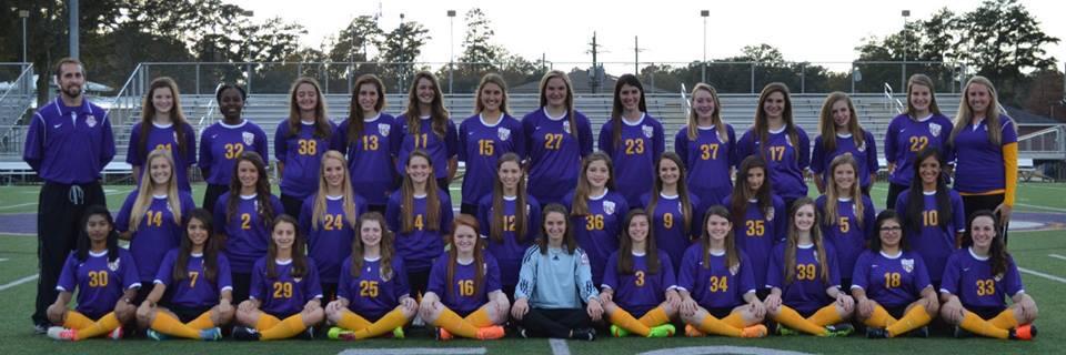 Denham Ladies Soccer banner
