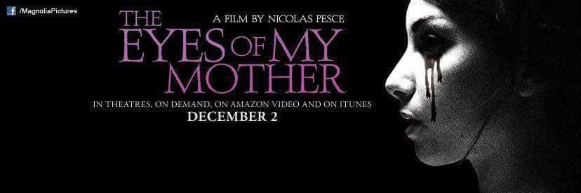 Jake Wasserman banner