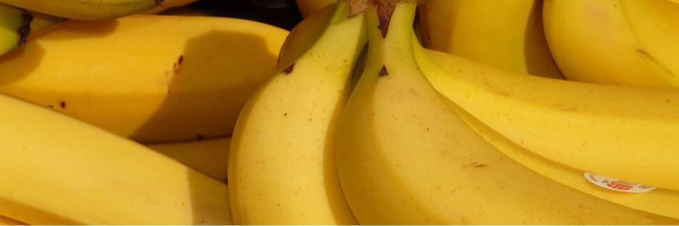 HHSbananas's profile banner image