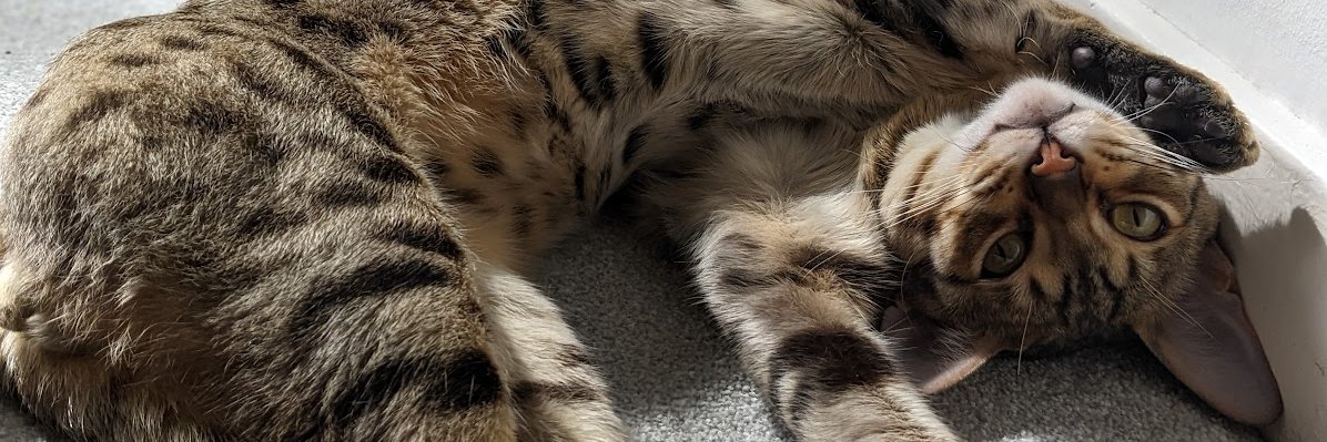 ghostoftomj's profile banner image