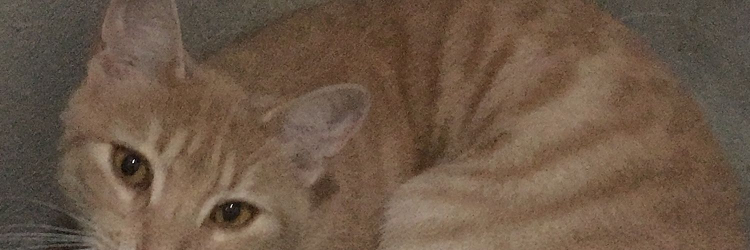Mayckel1909_'s profile banner image