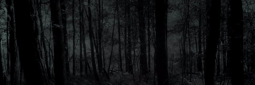 Max_Clapton's profile banner image