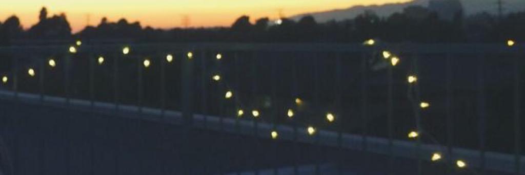 senecafml's profile banner image