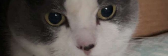 flatscreen_sp's profile banner image