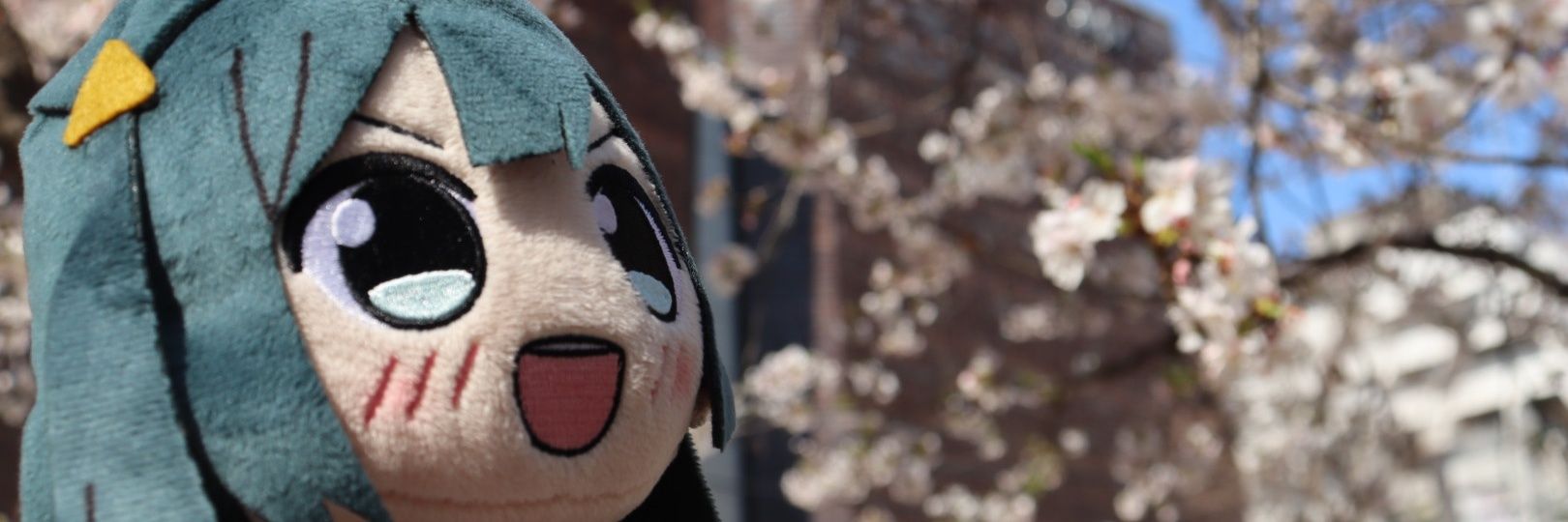 刹菜 banner
