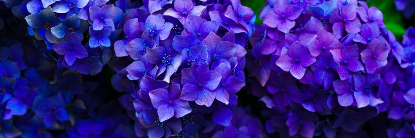 flo_bot14's profile banner image