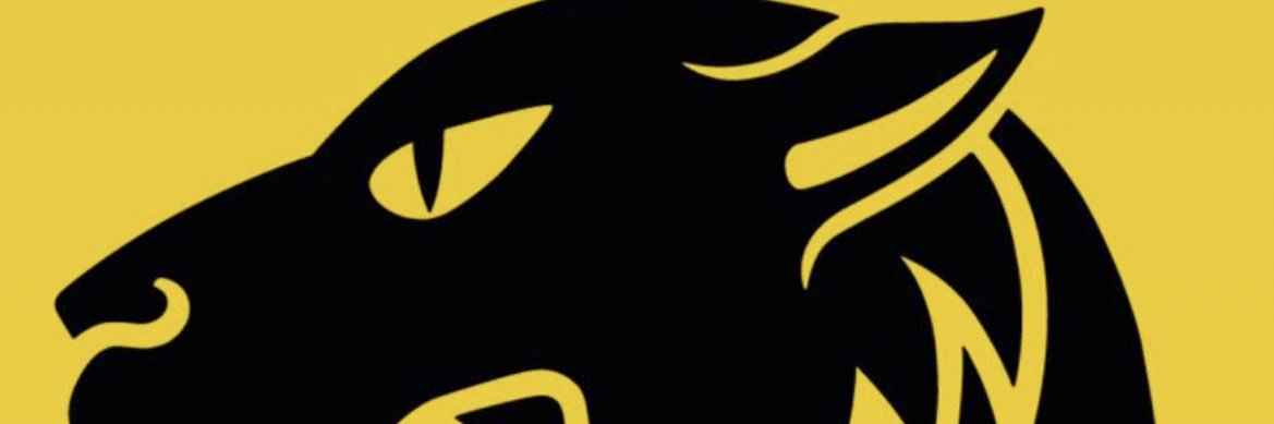 Evangelo Bousis banner